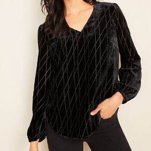 Ann Taylor Velvet V-neck Top